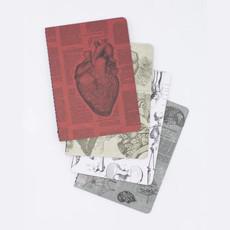 Set of pocket notebooks anatomy via Fairy Positron