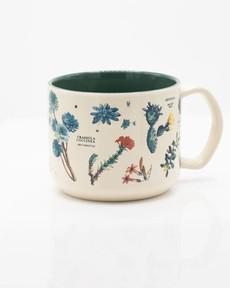 Mug Succulents via Fairy Positron
