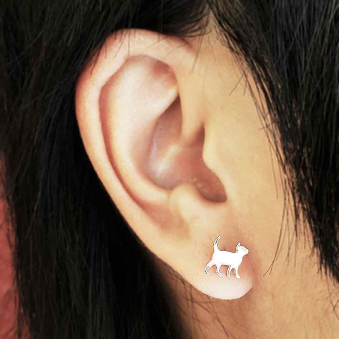 Silver earrings cat from Fairy Positron