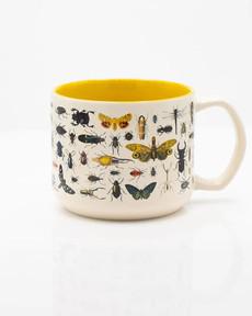 Mug Insects via Fairy Positron