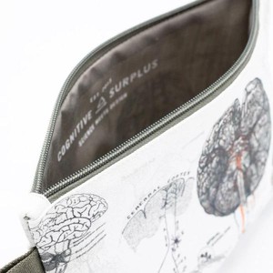 Pencil case anatomy of the brain from Fairy Positron