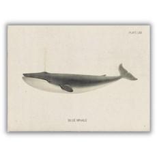 Greeting card blue whale from Fairy Positron