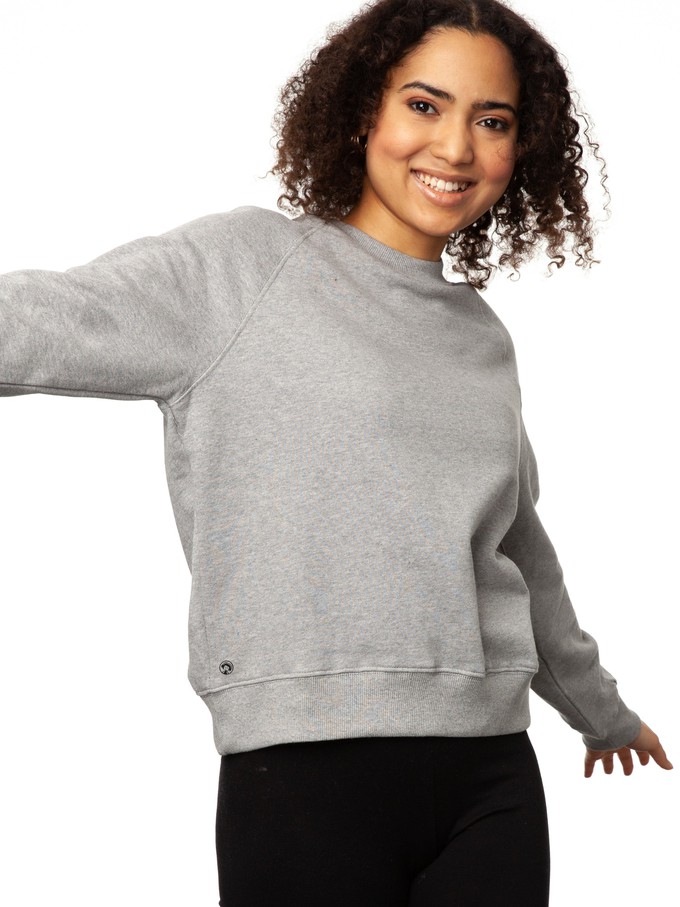 Raglan Sweater grey melange from FellHerz T-Shirts - bio, fair & vegan