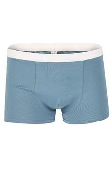 Bio Trunk Shorts / Retro Shorts hellgrau from Frija Omina