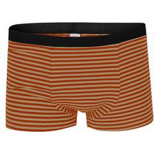 Bio Trunk Shorts sand / rost gestreift from Frija Omina