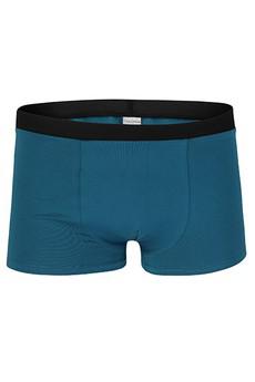 Bio Trunk Shorts / Retro Shorts petrol from Frija Omina