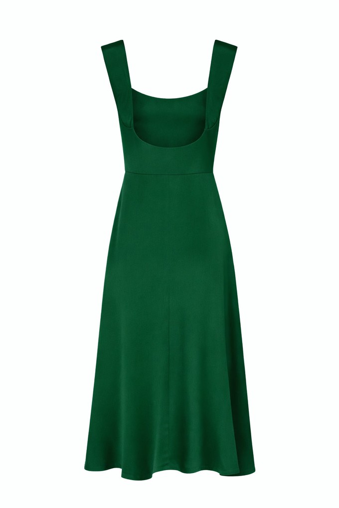 Freya Silk Dress from GAÂLA