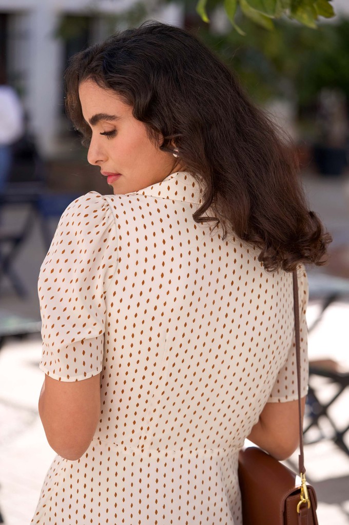 Selena Silk Dress from GAÂLA