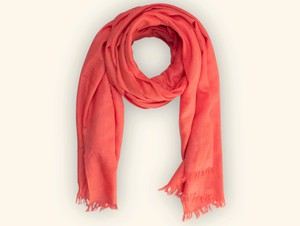 Certified Coral Pink Cashmere Scarf from Heritage Moda