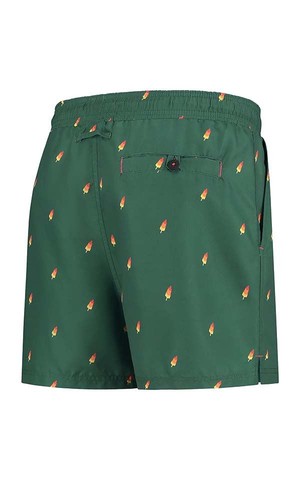 Swim Shorts Bram from Het Faire Oosten