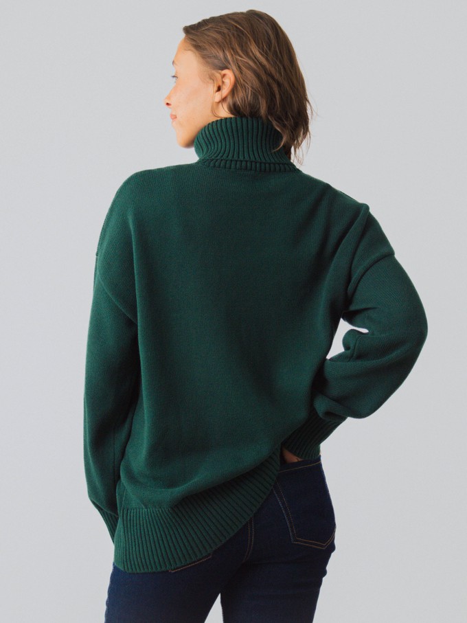 Chunky Rollkragenpullover Frauen from Honest Basics