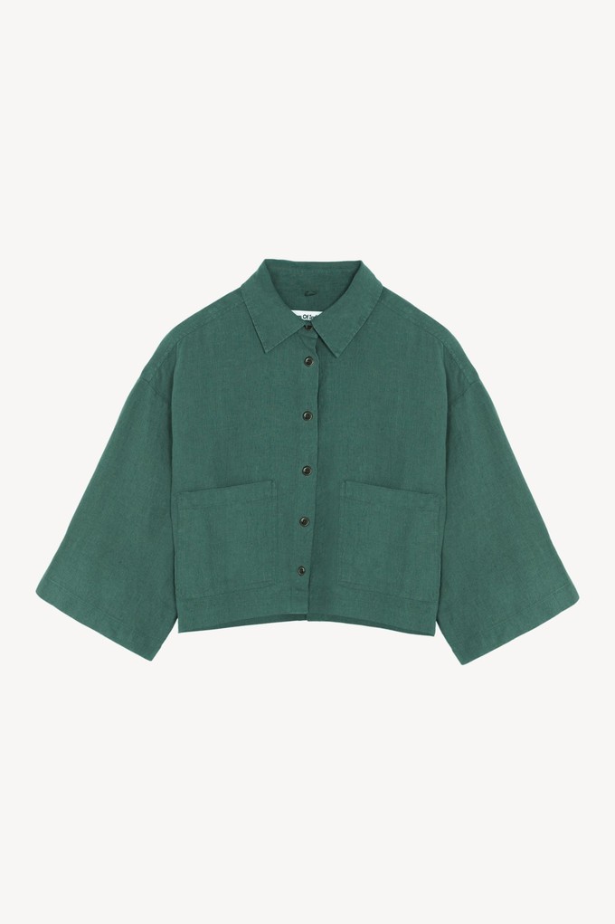 WANDA | BISTRO GREEN from Kings of Indigo