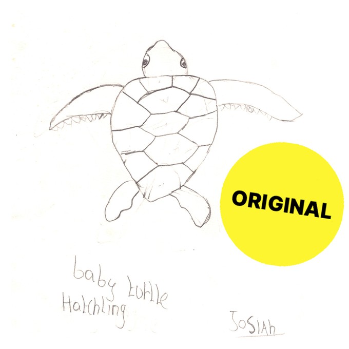 BABY-TURTLE Männer Shirt Mitternachtsblau from Kipepeo-Clothing