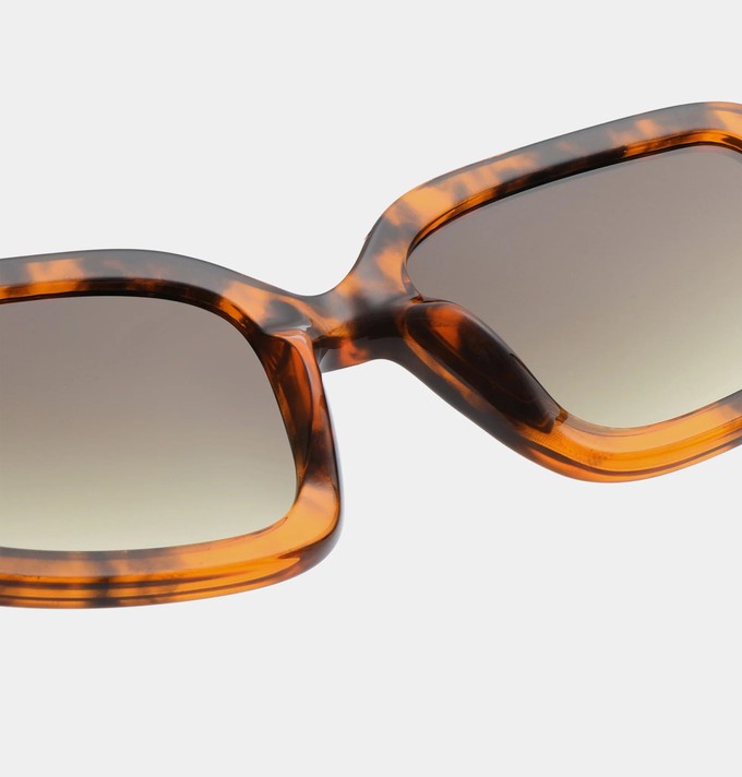 PLUTO - Havana Sunglasses by A.Kjaerbede from KOMODO