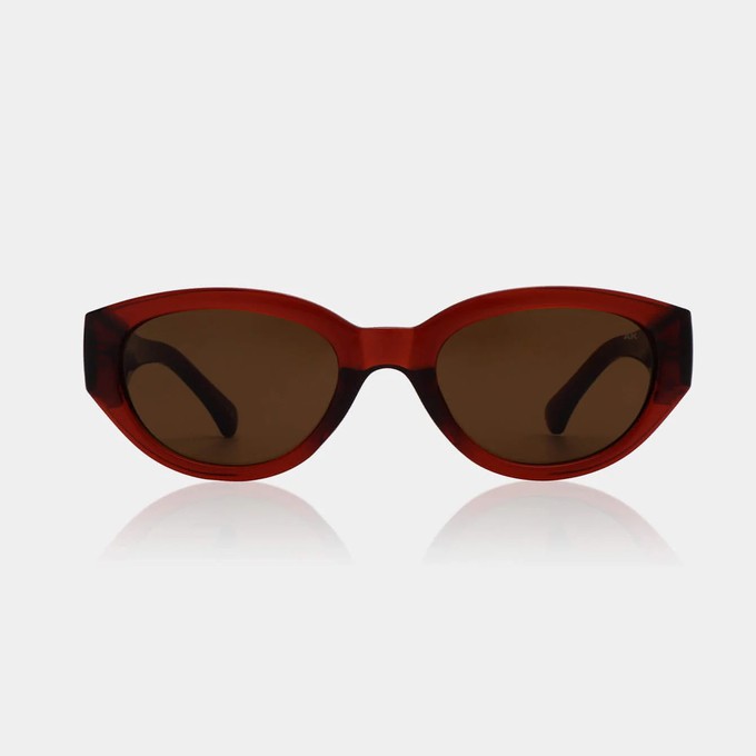 WINNIE - Brown Sunglasses by A.Kjaerbede from KOMODO