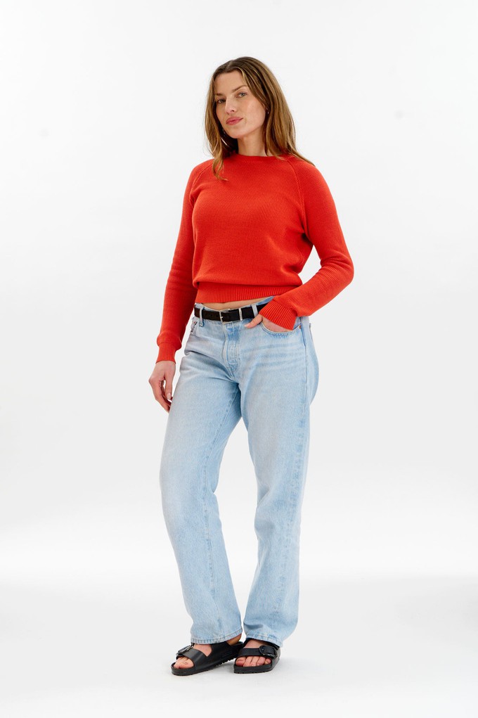 FOG Organic Cotton Jumper - Red from KOMODO