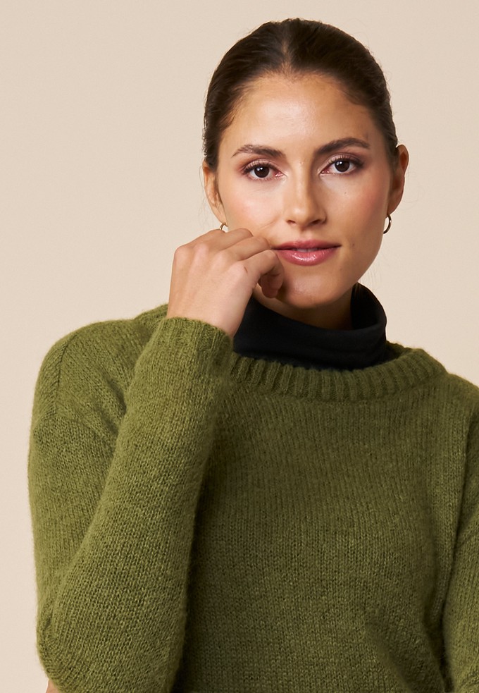 Pulli, Modell Nikola from LANA Organic