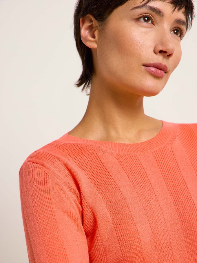 Pullover mit breiter Rippe (GOTS) from LANIUS
