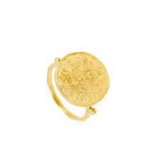 Lakshmi Coin Ring Gold Vermeil via Loft & Daughter
