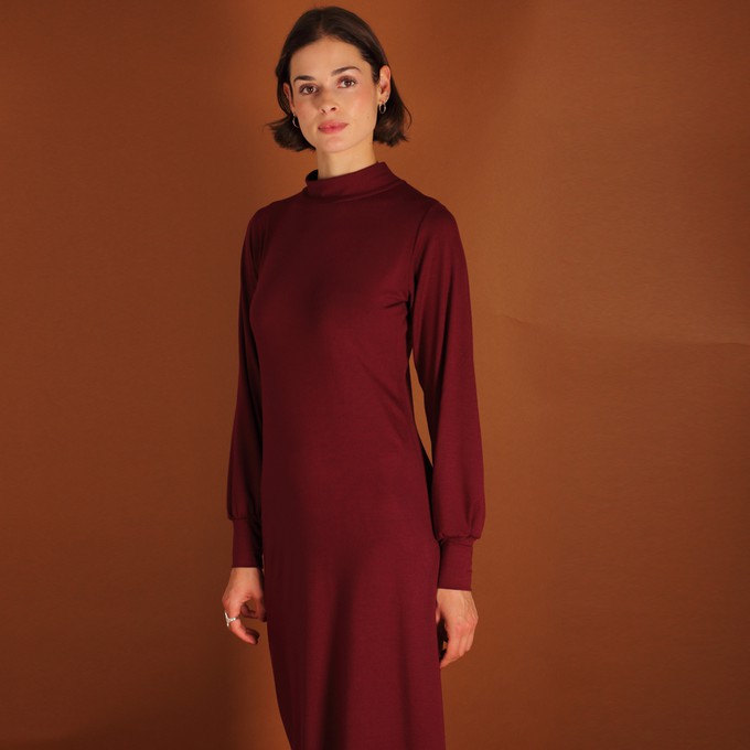 Tencel Turtleneck Kleid Noaah in berry from ManduTrap