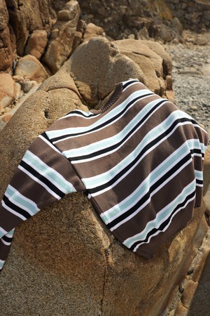 Bright Brown Jersey from NWHR