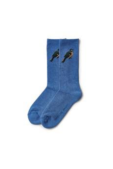 Bird socks x Museo del Prado via NWHR