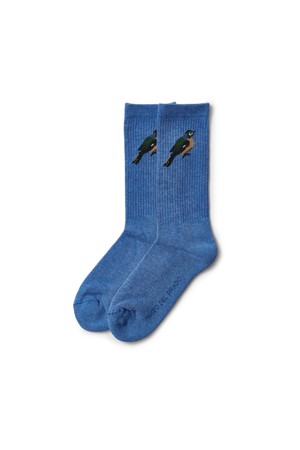 Bird socks x Museo del Prado from NWHR