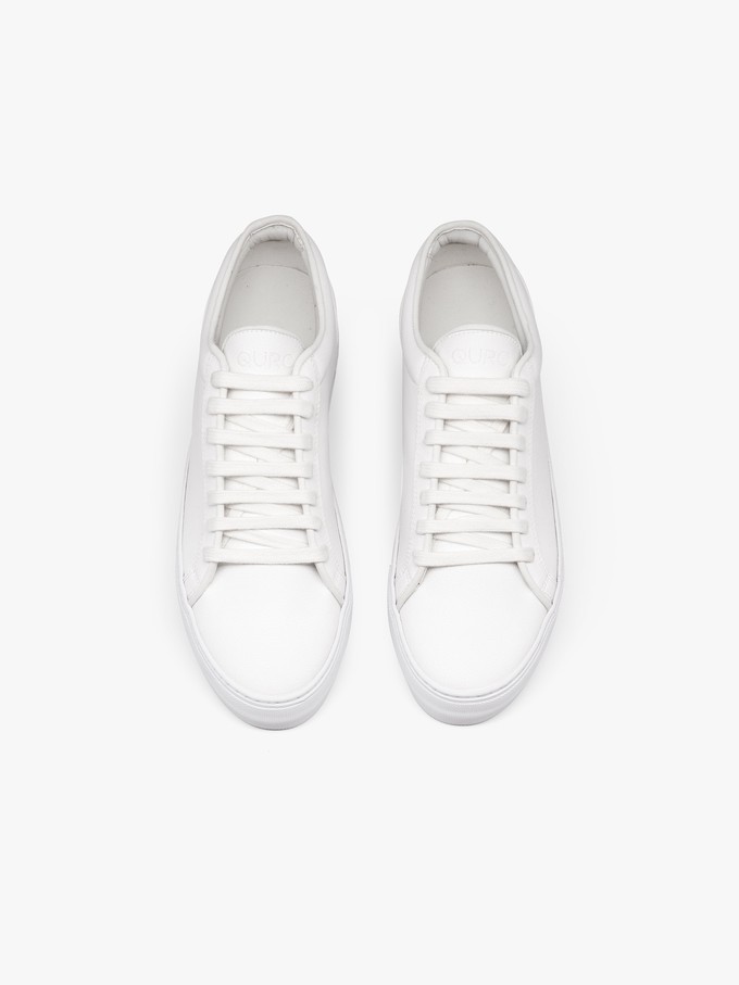 Grape Essential - Classic White from QURC. amsterdam Grape Essential - Classic White from QURC. amsterdam