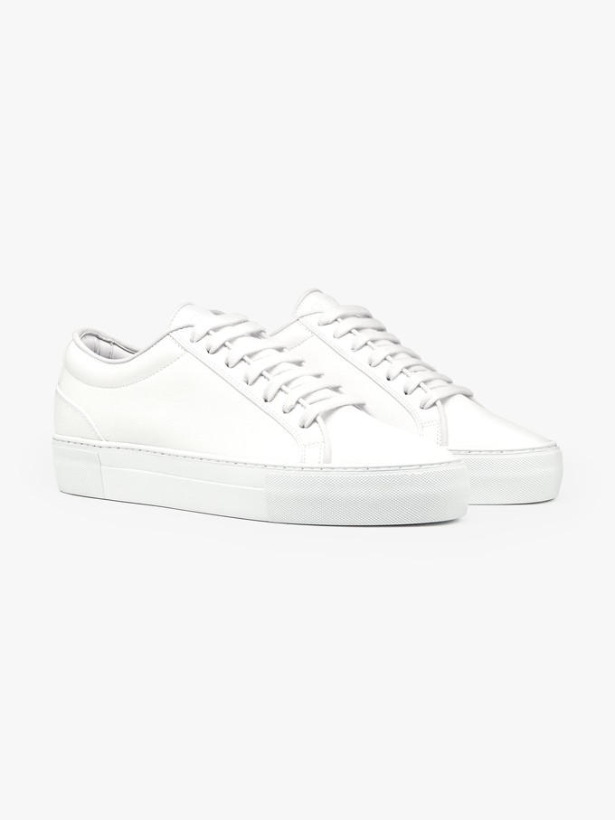 Grape Essential - Classic White from QURC. amsterdam Grape Essential - Classic White from QURC. amsterdam