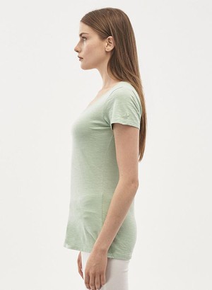 Basic T-Shirt Green from Shop Like You Give a Damn