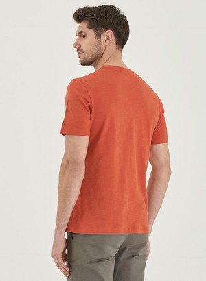 Organic Cotton T-Shirt Orange from Shop Like You Give a Damn