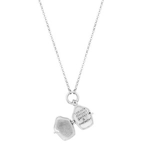 Locket Divinely Protected Silver from Shop Like You Give a Damn