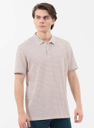 Striped Polo White/Brown from Shop Like You Give a Damn