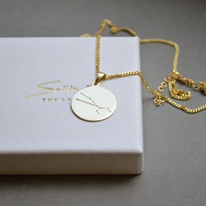 Zodiac Necklace (Choose your own sign) - Silver or Gold 14k from Solitude the Label