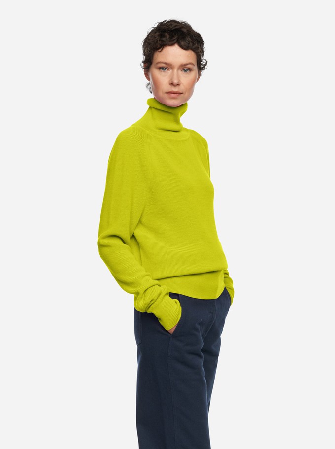 The Turtleneck Sweater from TEYM