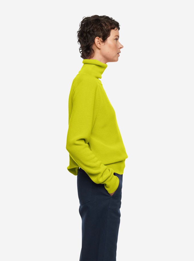 The Turtleneck Sweater from TEYM