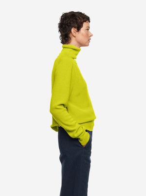 The Turtleneck Sweater from TEYM