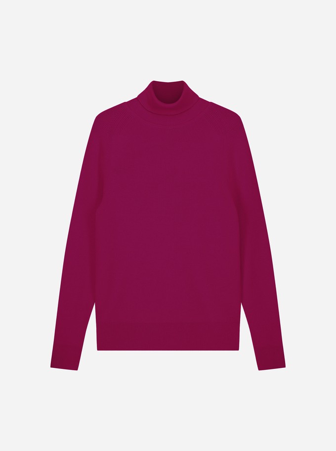 The Turtleneck Sweater from TEYM