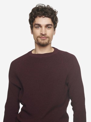 The Crewneck Sweater from TEYM