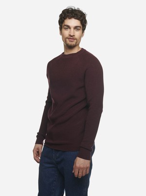 The Crewneck Sweater from TEYM