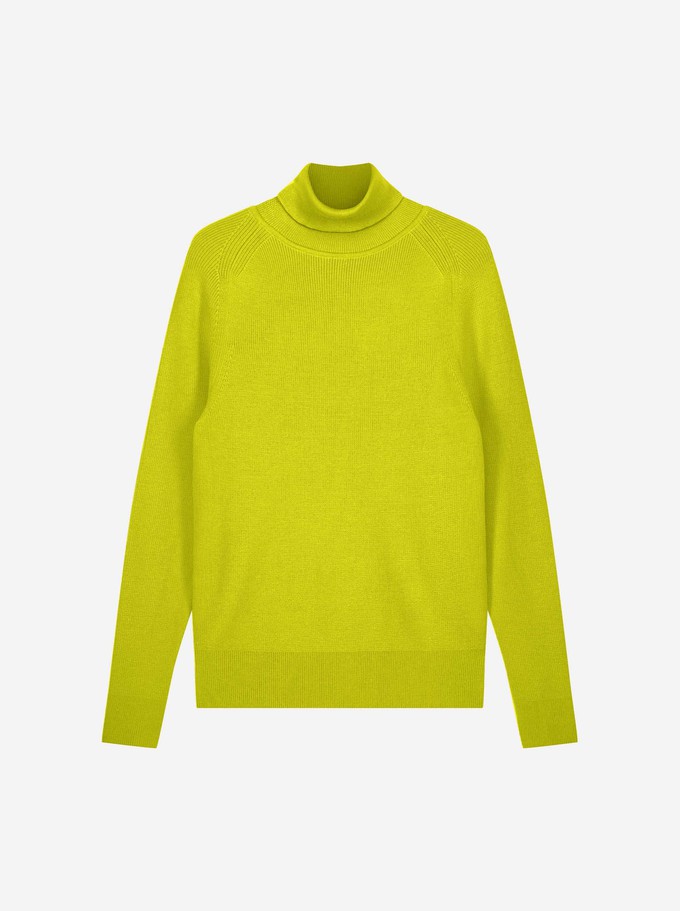 The Turtleneck Sweater from TEYM
