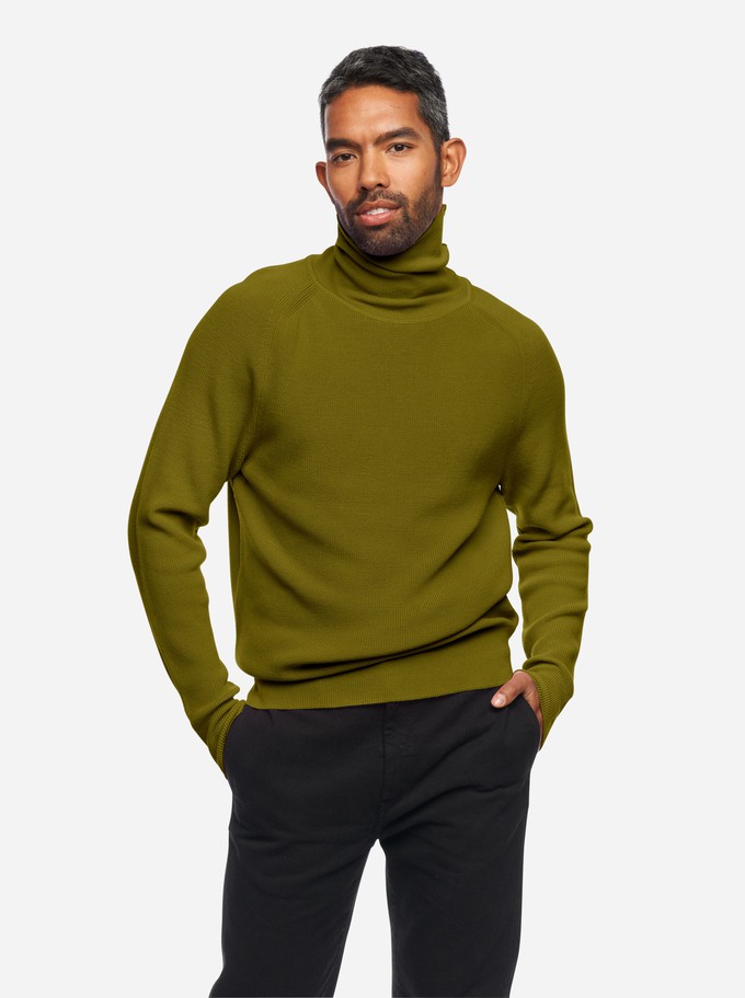 The Turtleneck Sweater from TEYM