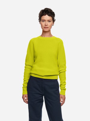 The Crewneck Sweater from TEYM