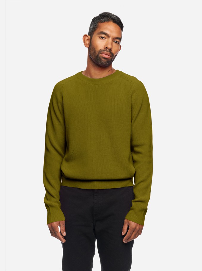 The Crewneck Sweater from TEYM