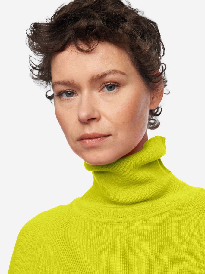 The Turtleneck Sweater from TEYM