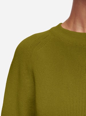 The Crewneck Sweater from TEYM