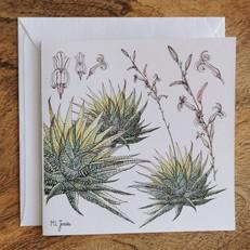 Single Fynbos Greeting Card via Urbankissed