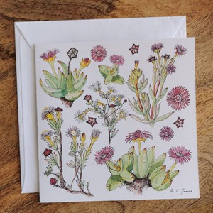 Single Fynbos Greeting Card from Urbankissed