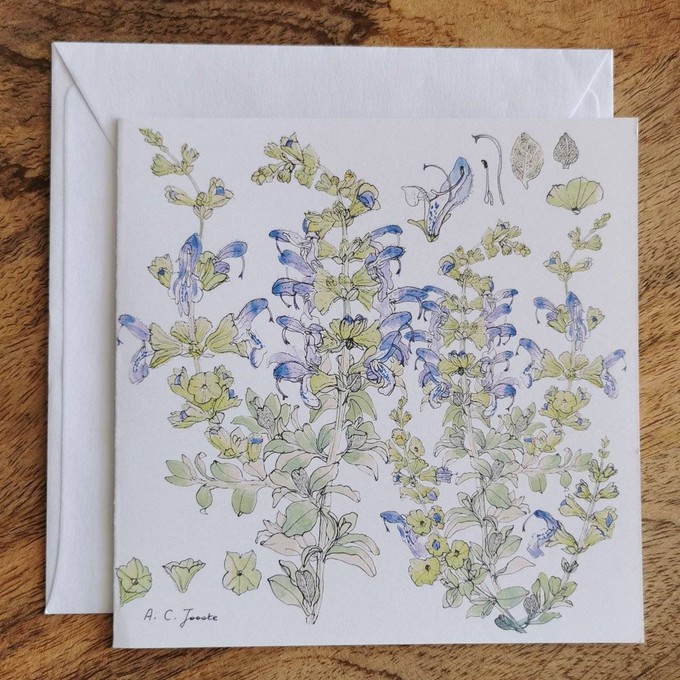 Single Fynbos Greeting Card from Urbankissed