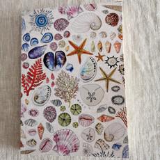 Seashells Journal via Urbankissed